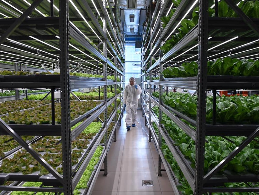 Биотехнологии в современной аквакультуре: от клеточных культур до вертикального фермерства