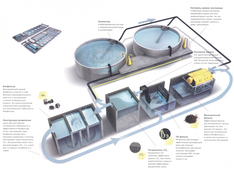Технология установки замкнутого водоснабжения (УЗВ) \| Акционерное общество «Югорский рыбоводный завод»