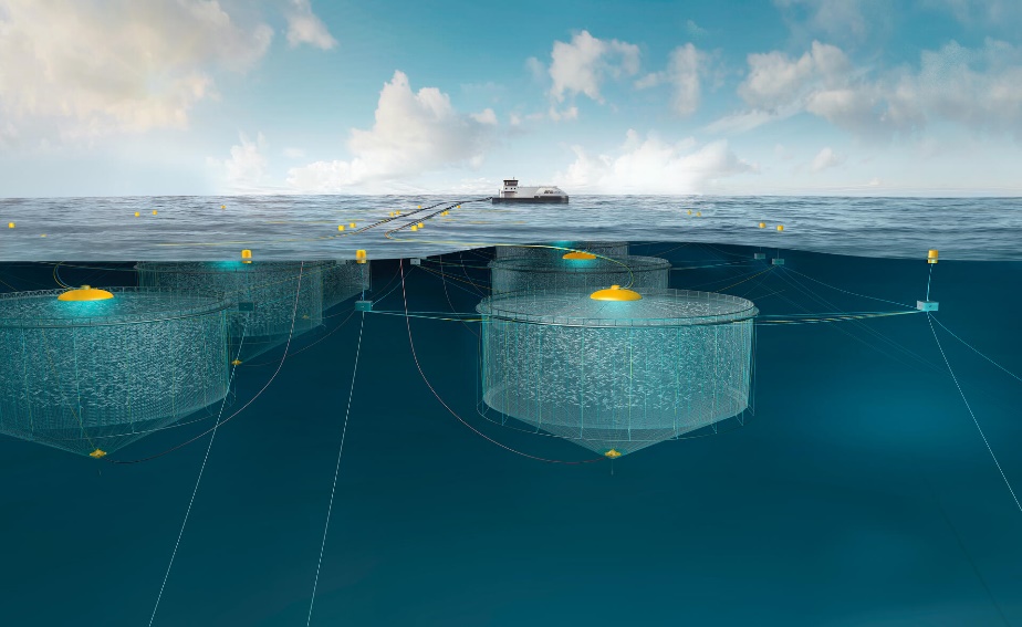 Подводные морские фермы как новое направление аквакультуры
