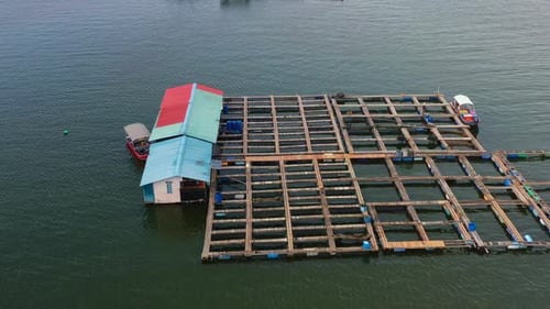 Тренды аквакультурной индустрии, которые сформируют рынок будущего