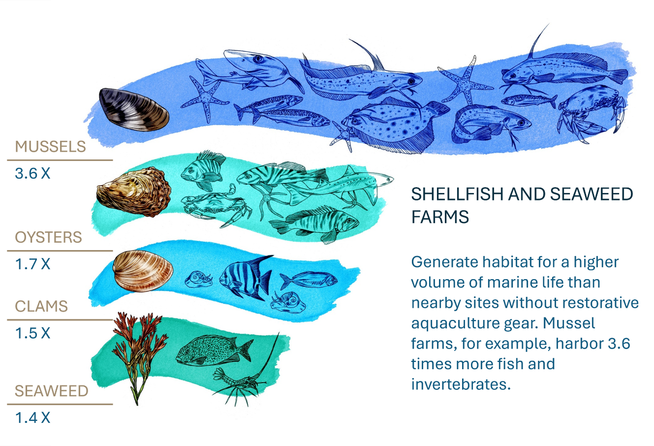 Sustainable Species --- A Plus New Zealand Sustainable Aquaculture Sustainable management framework